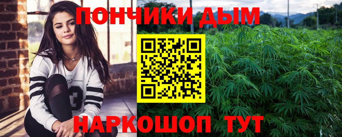 Марихуана SATIVA & INDICA Луга